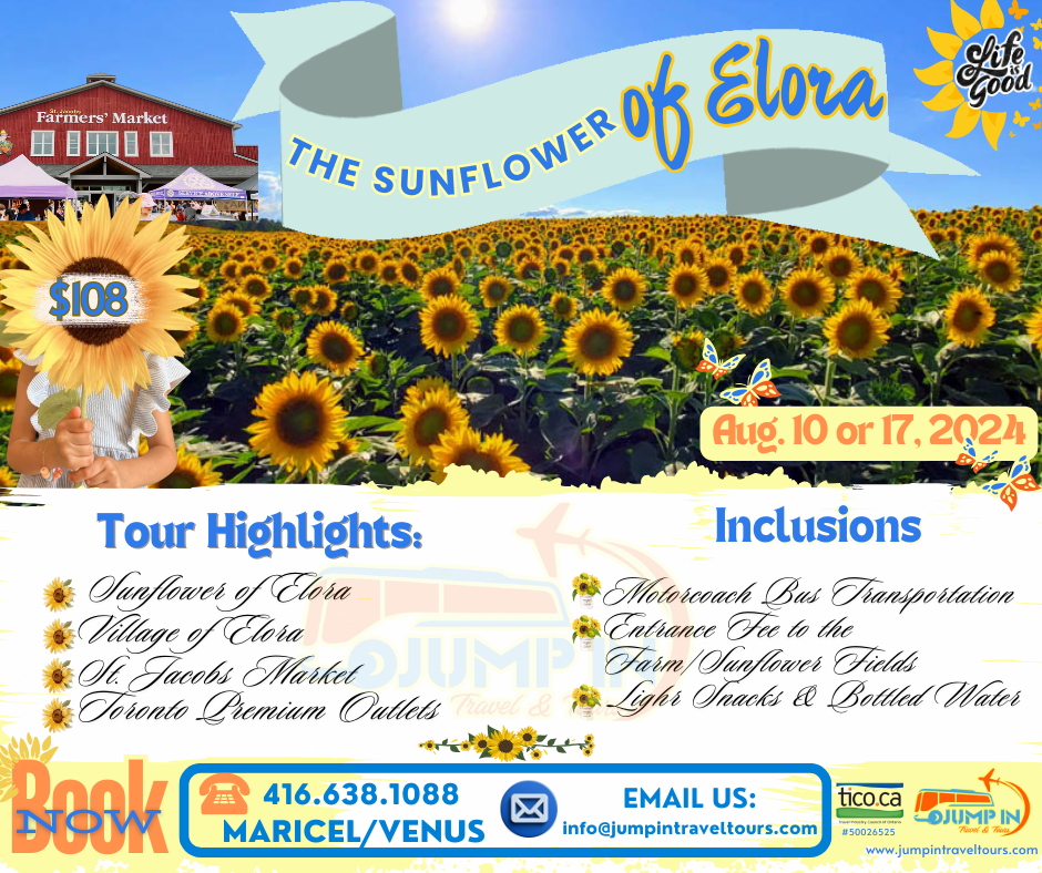 Sunflower of Elora